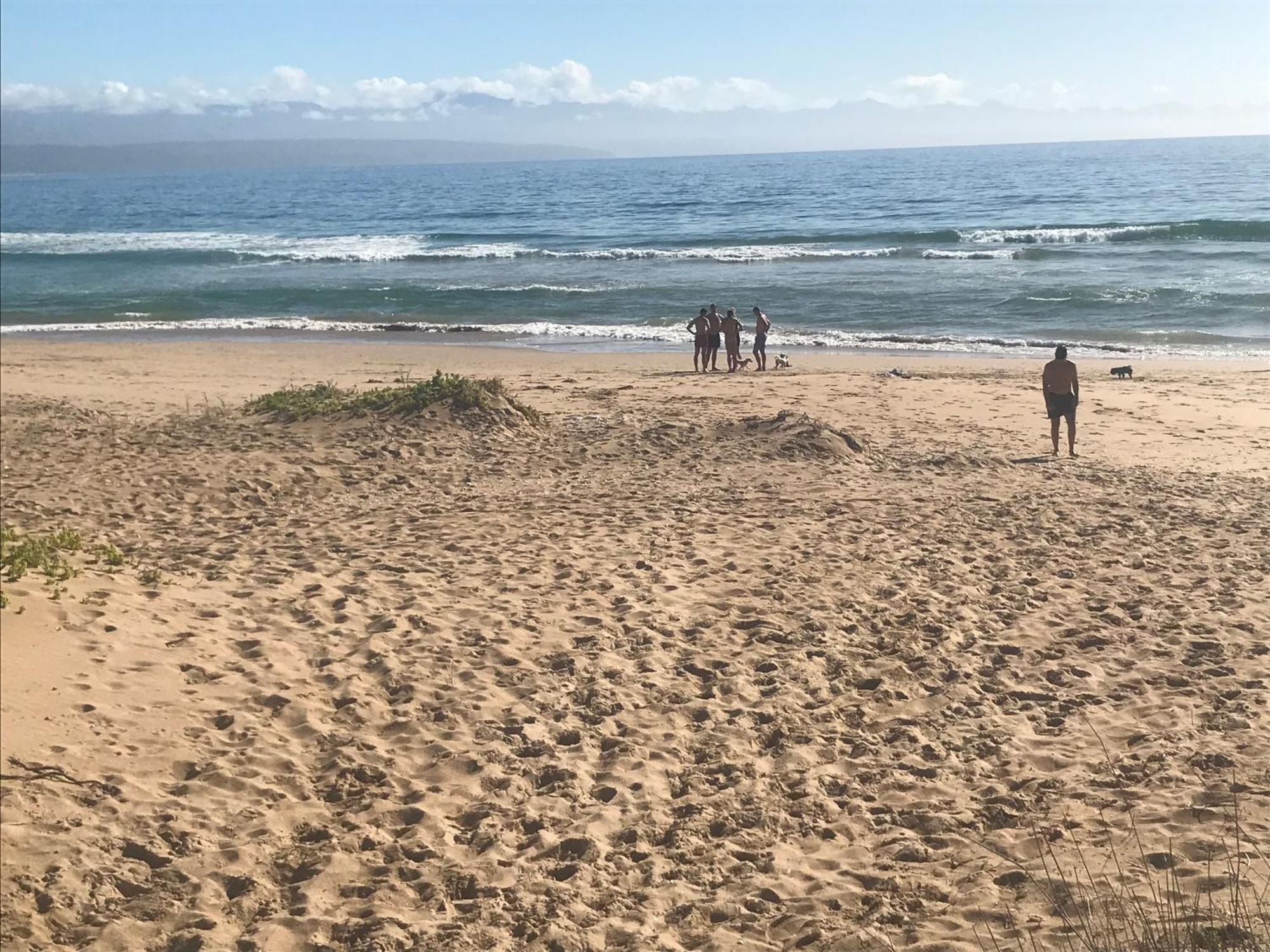 Calm Waters Guesthouse Plettenberg Bay Ngoại thất bức ảnh